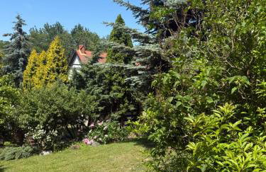 Apartament Skórcz Kociewie Pomorze Gdańskie Agroturystyka - Foto 26