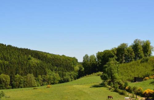 Apartment in Feldmannshof mit Grill und Garten by Interhome - Foto 39