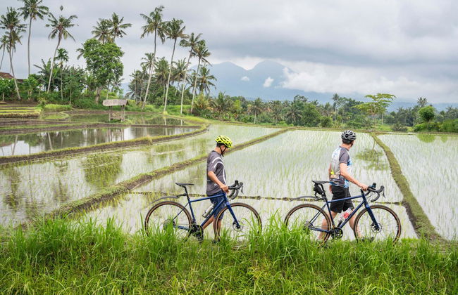 Kaura Bali - Foto 15