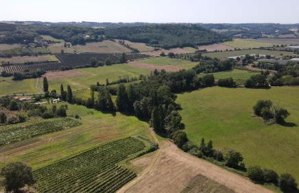 La Maison d'Onésiphore - Foto 6