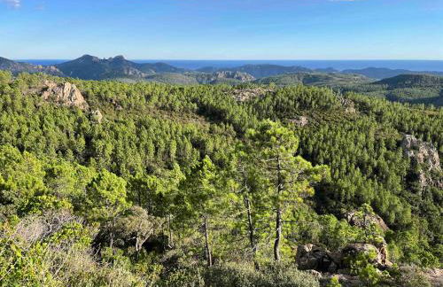 Villa Ormarine, vue exceptionnelle sur la baie de Cannes et le Mercantour - Foto 62