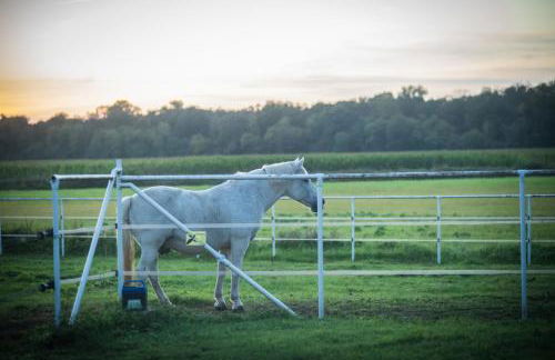 Agriturismo Beatilla - Photo 150