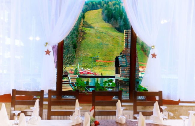 Pensiunea Elemar - Foto 2