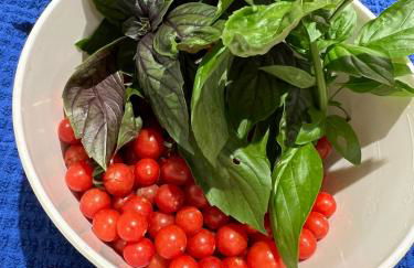 Just Peachy 2BR 2BA Private Luxury Apartment - Foto 69