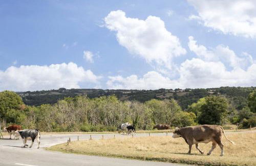 Luxury 1-Bed Annex on Rodborough Common - Foto 20
