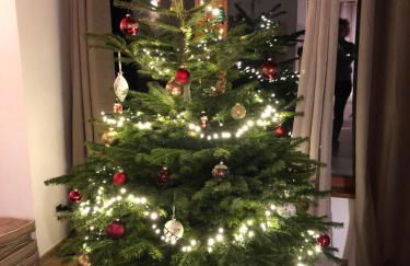 Golfchalet 3 confini - Foto 23