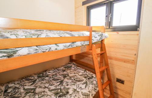 Ailsa Craig - Photo 13