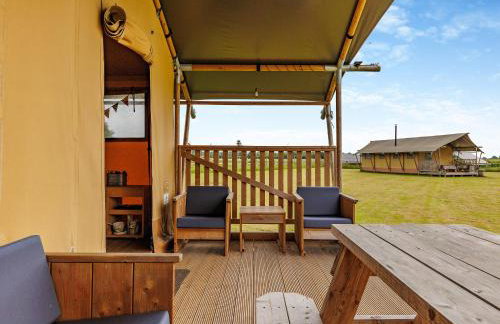 Fallow - Uk47397 - Foto 14