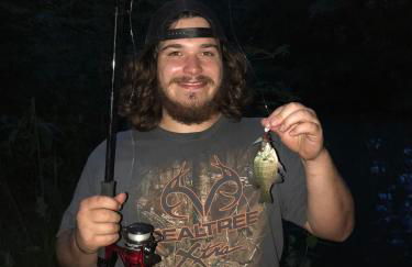 Beautiful Secluded Log Cabin - Foto 35