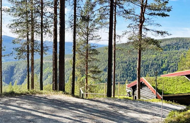 6 Person Holiday Home in Rendalen-by Traum - Foto 24