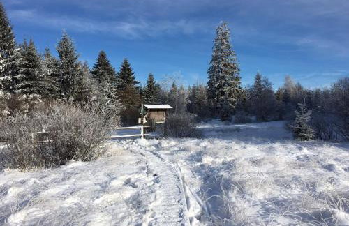 Ferienwohnung Peters - Foto 28