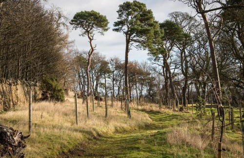 Stunning Stables Cottage in East Lothian Country Estate - Foto 41