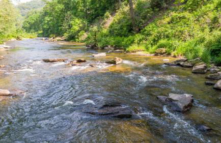 A River Mist - Foto 49