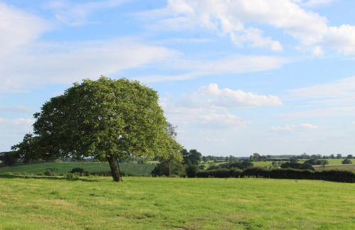 Parkfields Barns Self Catering Accommodation - Foto 71