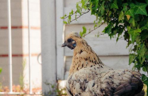 Living am Carlsplatz Apartment - Photo 138