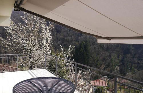 Casa Colmegna mit traumhaften See- und Bergblick - Foto 31