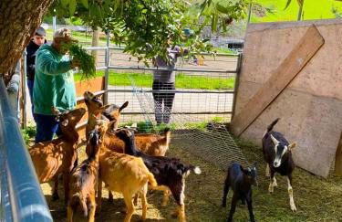 Scape to the Ranch - Relax, Work or Explore - Foto 37