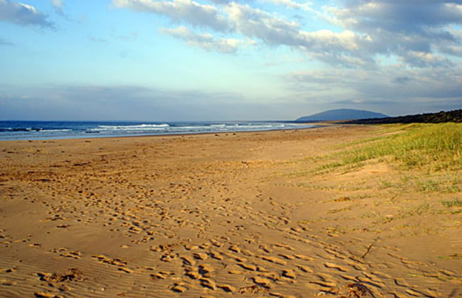 Discovery Parks - Gerroa - Foto 42