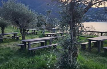 Baia dei Colori - Foto 30