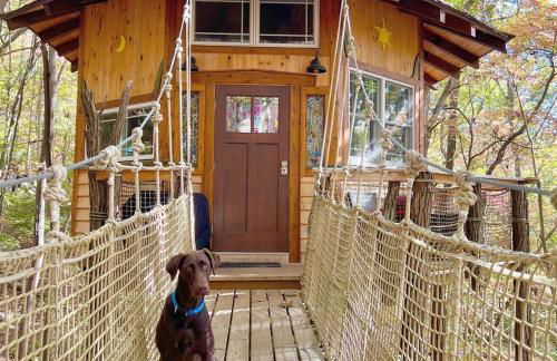 Treehouse wFull Disc Golf CourseDog Friendly - Foto 9