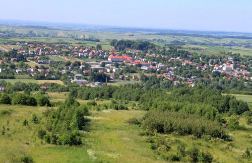 Farma Albert Korzenie - Foto 9