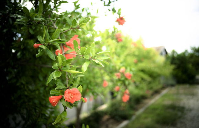 Zà Culetta - Foto 32