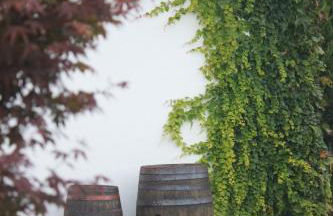 Casa dos meus avós -Villas - Gaia & Porto - Foto 26