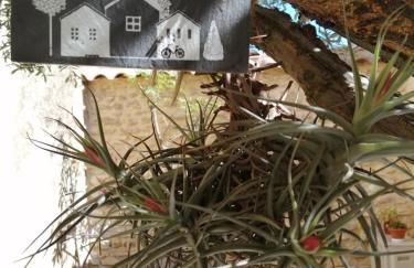 Les Gîtes sous l' Olivier en Camargue - Photo 25