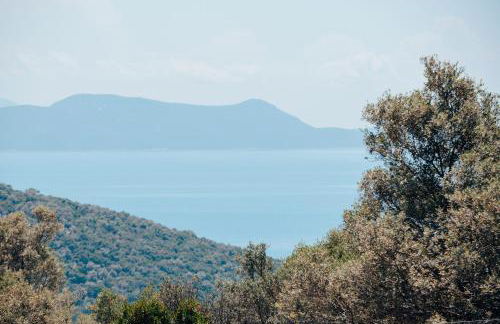 Mesogi Villas, brand new modern, stylish villas, private pool, seaviews - Photo 43