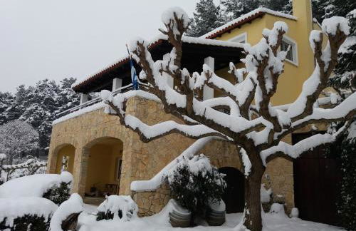 Six Steps From The Forest - Photo 27