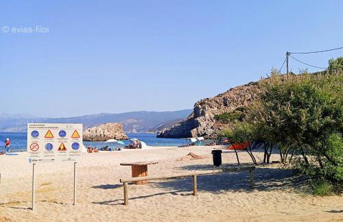 παραθαλασσιο σπιτι στην εξοχη - Foto 35