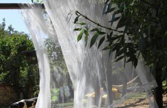 D. MariAntónia Complexo Turístico - Foto 45