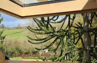 The Willow (Alton Towers, Animals, Peak District) - Foto 24