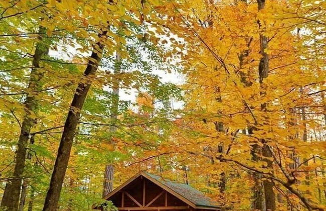 Habitat Mesire Evleri - Foto 21