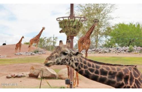 Designer 5 Bd Home, Fountain Pool, Spa, Game Patio - Foto 57