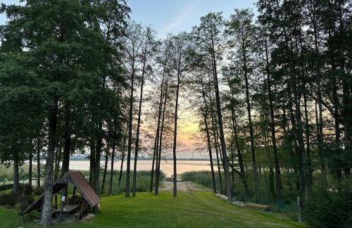 Ostoja Leśniewo - Foto 1