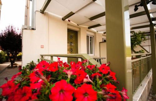 Thalassoperasma - Foto 1