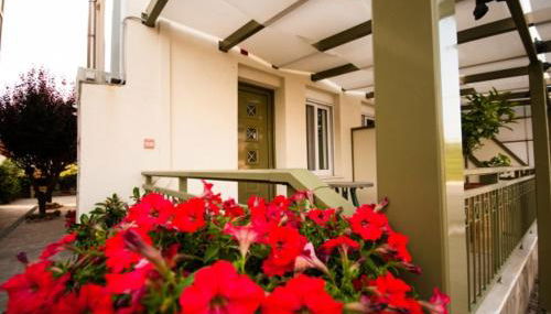 Thalassoperasma - Foto 1