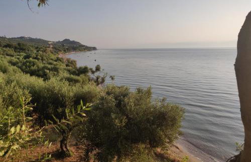 ArokariApartments - Foto 60