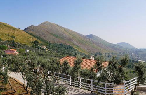 Vista Paradiso - Foto 75