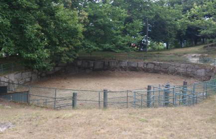 Casa Angelita terraza con hórreo y barbacoa - Foto 55