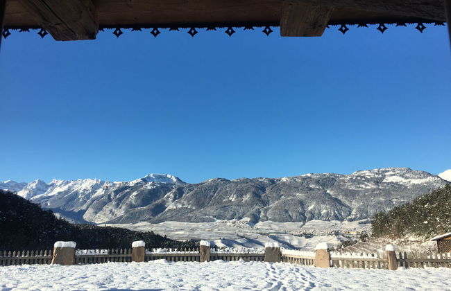 Royal Gala - Foto 12