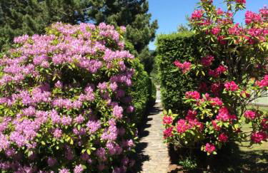 Les Gîtes du Paradis - Foto 40