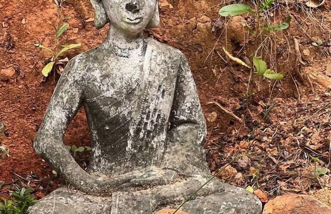 Casa com Jardim Praia da Ferrugem - Foto 23