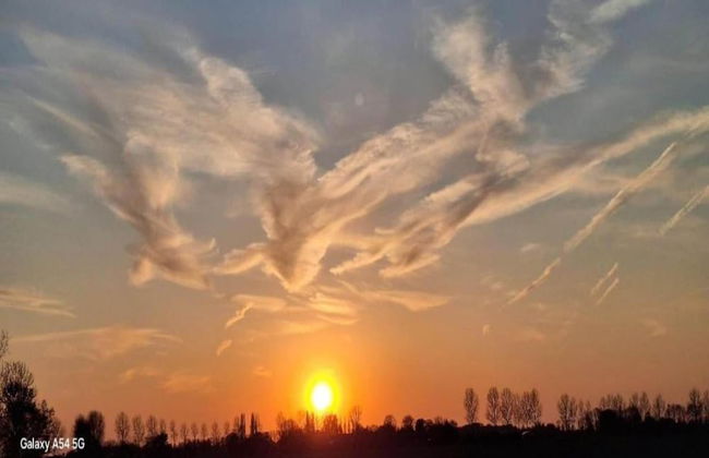 Villa Oesterdam Comfort Extra 8 Persons - Foto 35