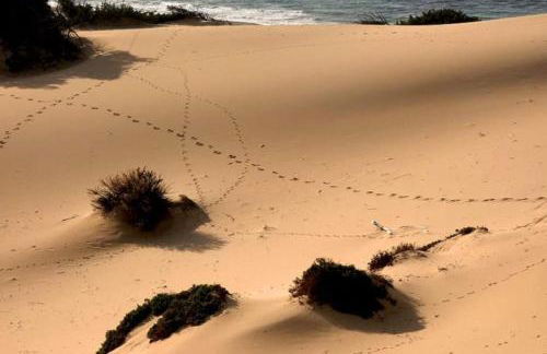 Borgo Ingurtosu - Photo 26