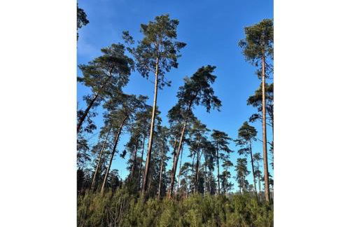 Little Heidjer House - Foto 38