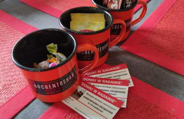 Domki w Radawie - Foto 29