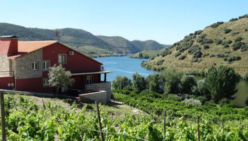 Olhares do Douro - Foto 2