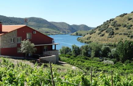 Olhares do Douro - Foto 2